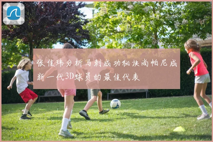 张佳玮分析马刺成功秘诀尚帕尼成新一代3D球员的最佳代表