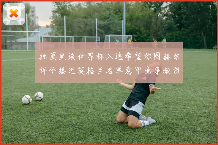 托莫里谈世界杯入选希望称图赫尔评价接近英格兰名单意甲竞争激烈