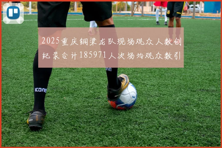2025重庆铜梁龙队现场观众人数创纪录合计185971人次场均观众数引发热议