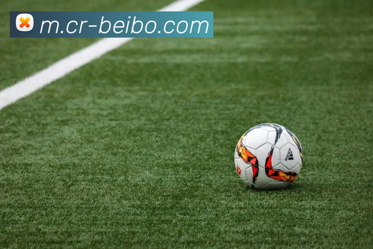 贝博足球平台生态图