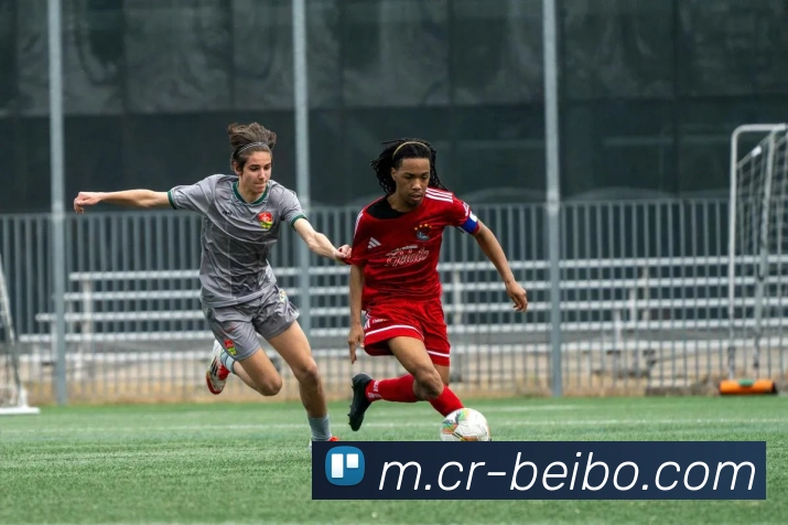 贝博足球全站App